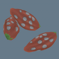 Item Rocky Desert Seed (Trees).png