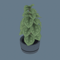 Item Office Plant.png